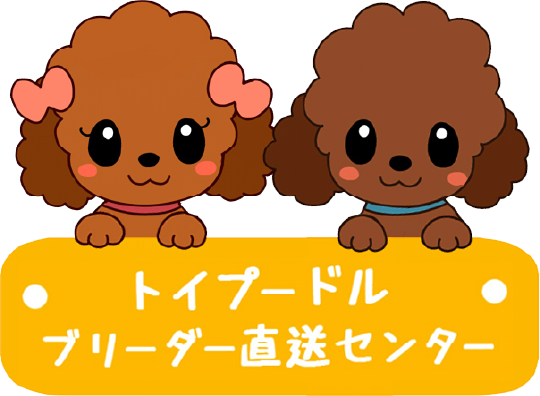 トイプードル・ティーカッププードルブリーダー直送センター